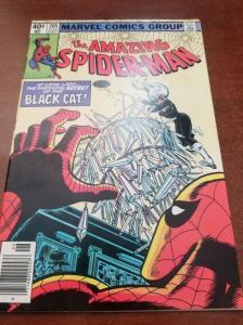 The Amazing Spider-Man #205, Marvel, Black Cat-VF/NM