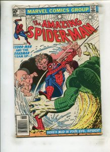 AMAZING SPIDER-MAN #217 (4.0) HERES MUD IN YOUR EYE!! 1981