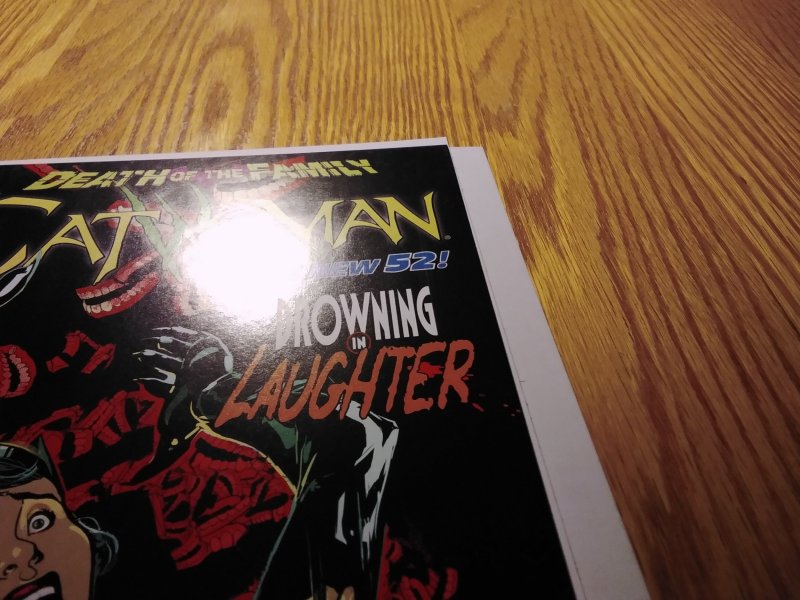 Catwoman #14 Direct Edition (2013)