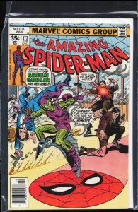 The Amazing Spider-Man #177 (1978) Spider-Man