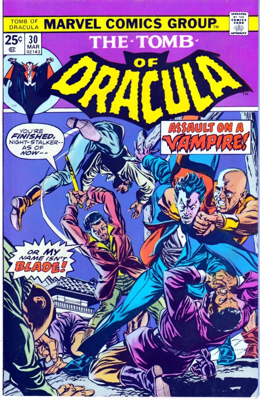 Tomb of Dracula(vol. 1) # 30  Blade The Vampire Hunter