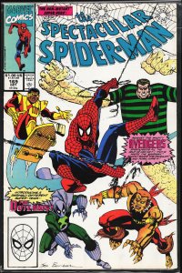 The Spectacular Spider-Man #169 (1990) Spider-Man