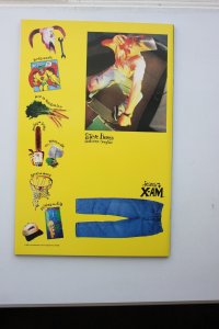 The Amazing Spider-Man #388 Foil Cover (1994) Spider-Man NM