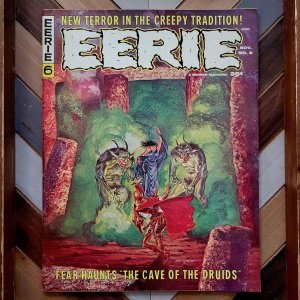 EERIE #6 FN/VF (Warren 1966) Sharp! Gray Morrow Painted Cover + Ditko, Goodwin