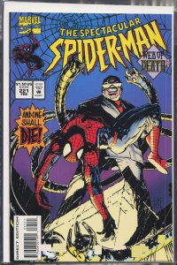 The Spectacular Spider-Man #221 (1995) Spider-Man