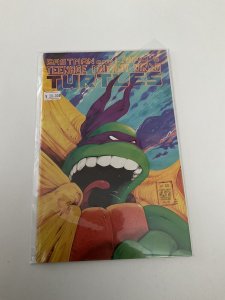 Teenage Mutant Ninja Turtles 22 Near Mint- 9.2 Mirage
