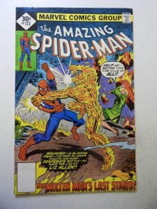 The Amazing Spider-Man #173 (1977) FN Condition