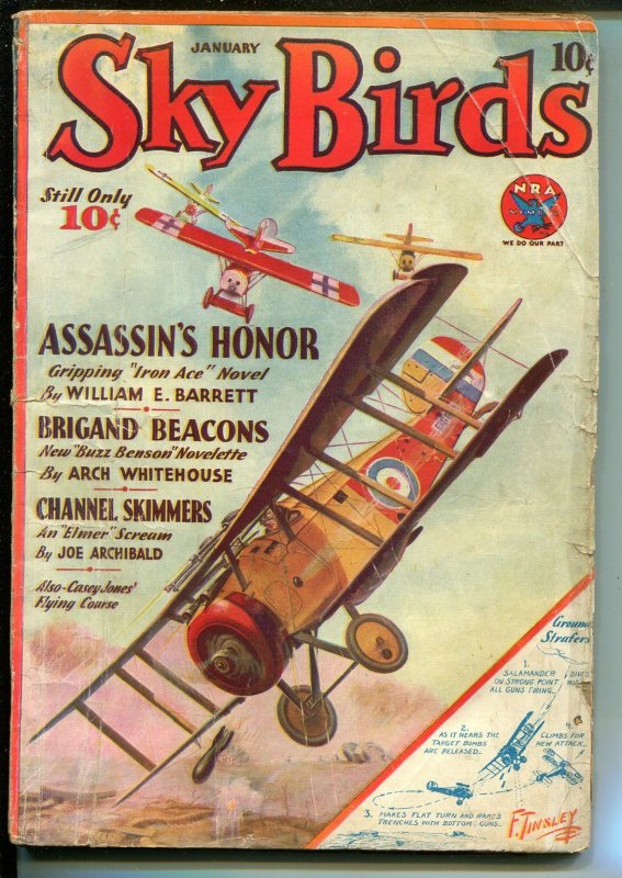 Sky Birds 1/1934-aviation pulp-Iron Ace-Barrett-Buzz Benson-Whitehouse-P/FR