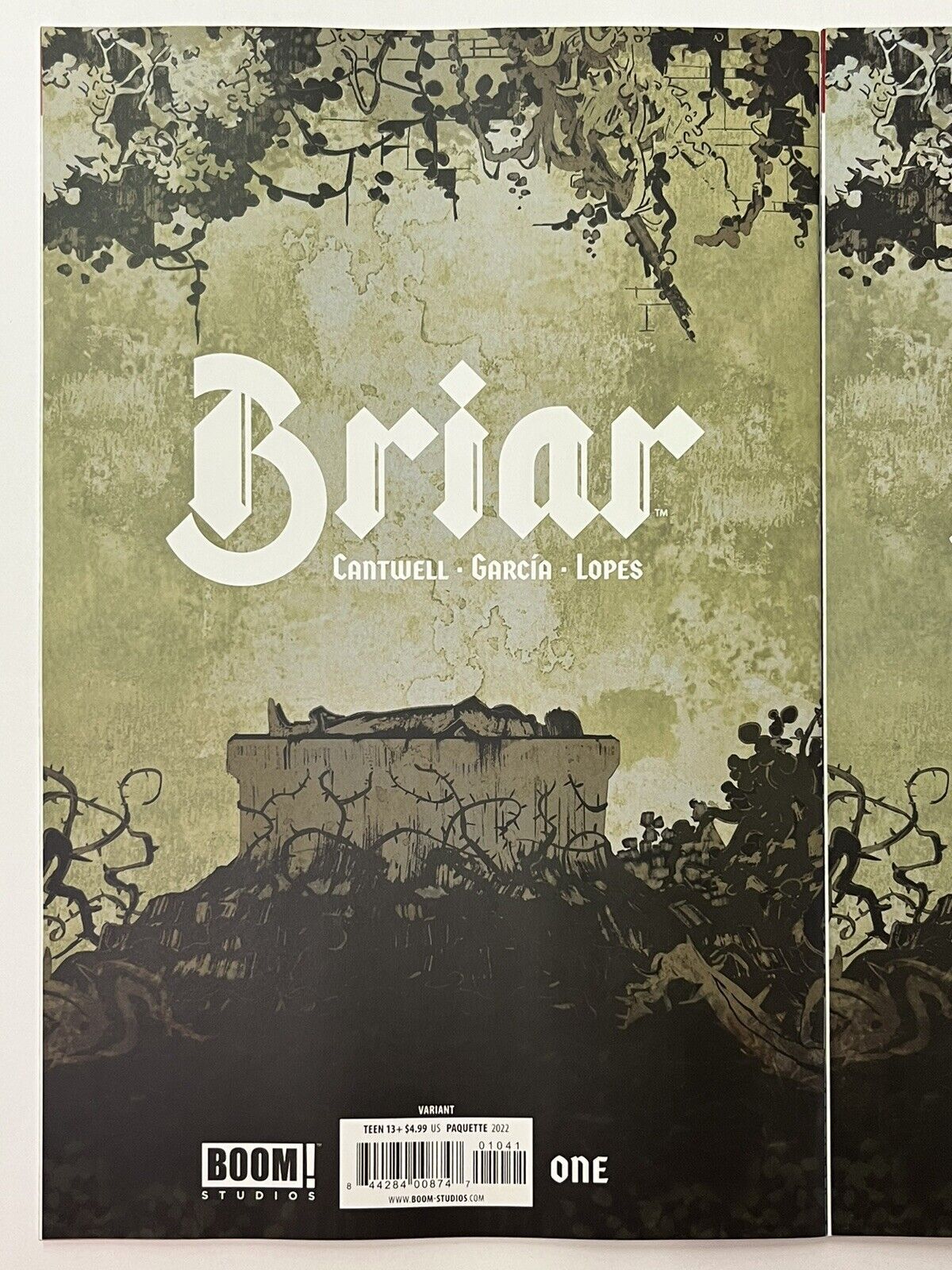 Briar: Vol. 1 by Christopher Cantwell