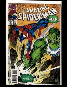 The Amazing Spider-Man #381 (1993) Spider-Man