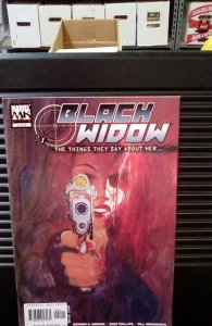 Black Widow: The Things They Say About Her #2 (2005)