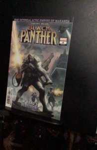 Black Panther #4 (2018) M’Baku’s Rebellion! High-grade key. NM- Wow