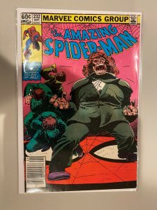 Amazing Spider-Man #232 Newsstand edition 4.0 VG (1982 1st Series)