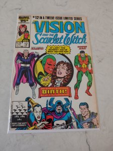 The Vision and the Scarlet Witch #12 (1986)