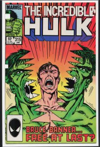 The Incredible Hulk #315 (1986) Hulk