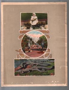 Souvenir Book of Los Angeles and Vicinity 1913-post card type views-VG