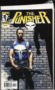 The Punisher #11 (2001) Punisher