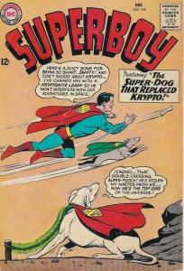 The Super-Dog That Replaced Krypto!