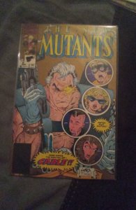 The New Mutants #87 Second Print Cover (1990) New Mutants 