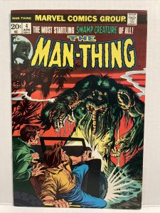 Man-Thing #4 Origin Of Fool Killer