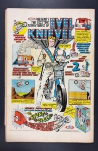 The Amazing Spider-Man #129 (1974) 1ST PUNISHER