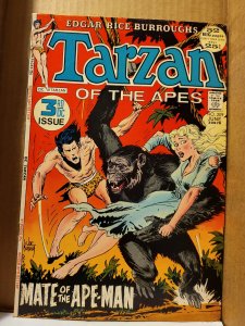 Tarzan #209 (1972)