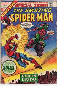 The Amazing Spider-Man Annual #9 (1973) Spider-Man