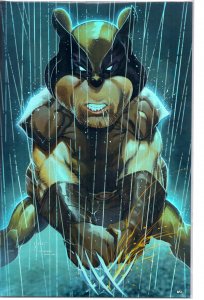 Do You Pooh Ivan Tao Homeage. Wolverine METAL Cover