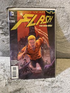 The Flash #25 (2014)