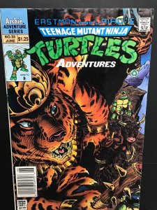 Teenage Mutant Ninja Turtles Adventures #33 (1992) (JH)