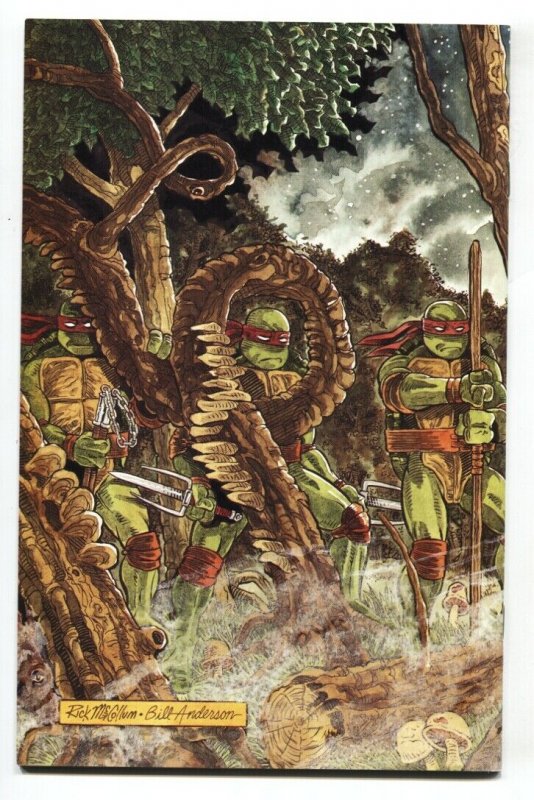 TEENAGE MUTANT NINJA TURTLES #37-Mirage comic book 1991