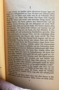 Gunter grass,1969, cat and mouse,German paperback