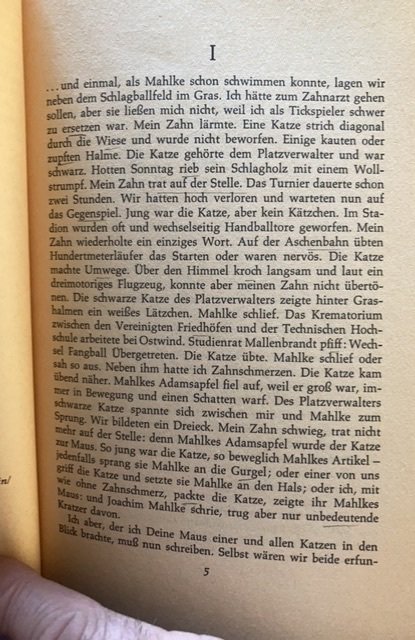 Gunter grass,1969, cat and mouse,German paperback