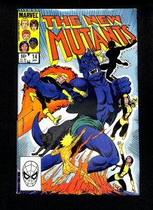 New Mutants #14