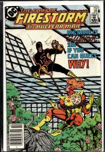 The Fury of Firestorm #28 (1984) Firestorm [Key Issue]