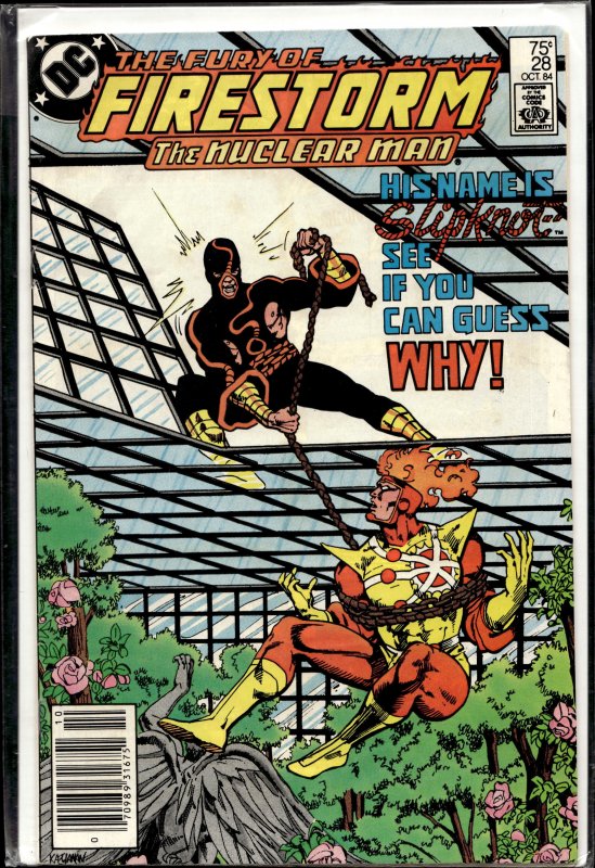The Fury of Firestorm #28 (1984) Firestorm [Key Issue]