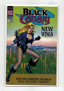 Black Canary #1 (1991) Black Canary