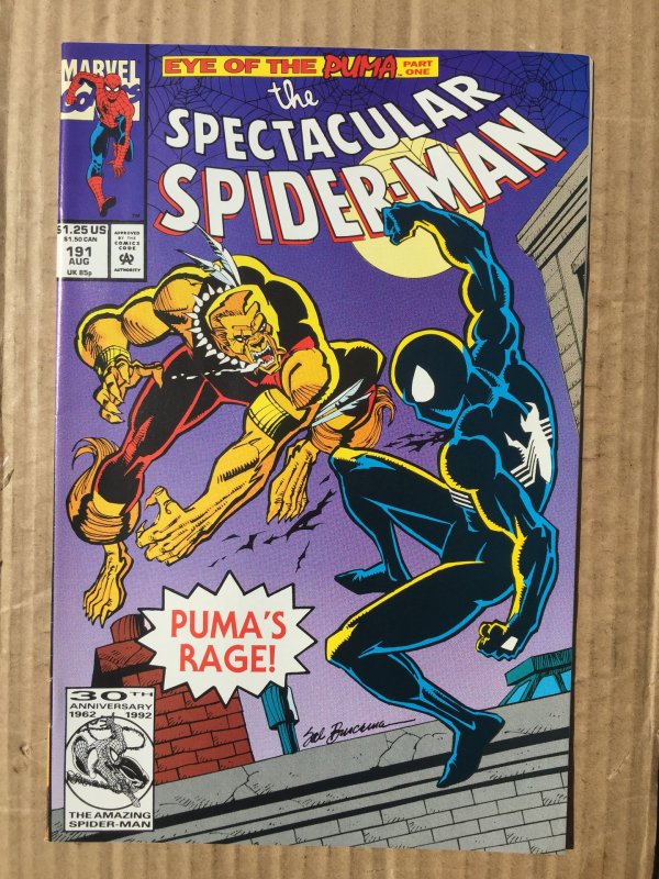 The Spectacular Spider-Man #191 (1992)