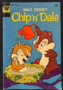 Chip 'n' Dale #16 (1972)