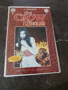 The Crow: Flesh and Blood #3 (1996)