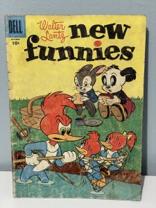 Walter Lantz New Funnies #224 (1955)