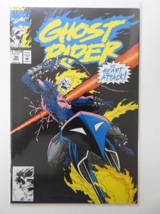 Ghost Rider #35