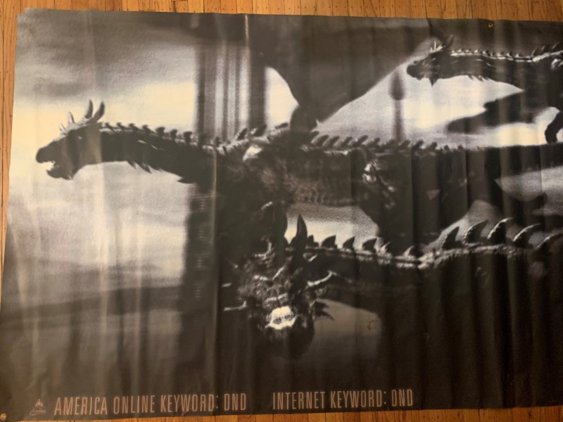 Dungeons and Dragons Original movie theater (vinyl) banner (2000)