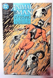 Animal Man #52 (1992) Vertigo Comics 1st Print Comic Book