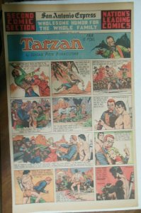 Tarzan Sunday Page #475 Burne Hogarth from 4/14/1940 Very Rare ! Full Page Size