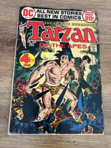 Tarzan Of The Apes # 210 VG/FN DC Comic Book Joe Kubert 5 J356