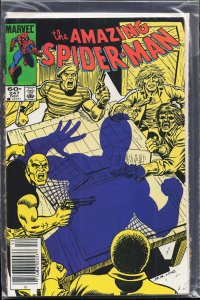The Amazing Spider-Man #247 (1983) Spider-Man