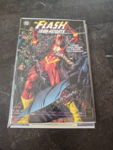 Flash: Iron Heights #1 (2001)