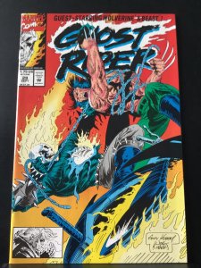 Ghost Rider #29 (1992)