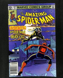 Amazing Spider-Man #227 Newsstand Variant Black Cat!